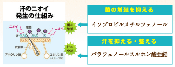 制汗と殺菌が同時にできる商品がおすすめ