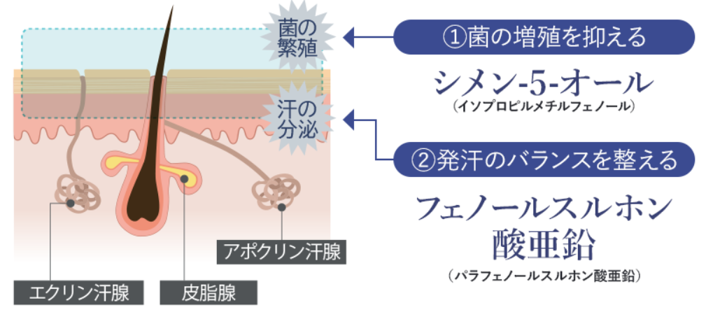 ノアンデ　2つの有効成分